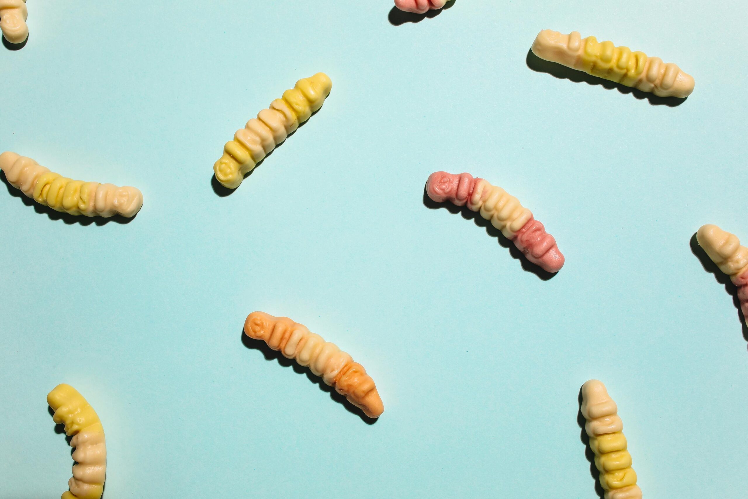 Gummy worms wiggling around